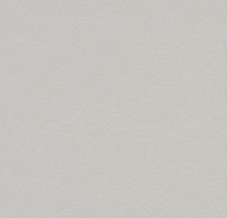 Линолеум Forbo Marmoleum Decibel on Order 336935 titanium фото 1 | FLOORDEALER